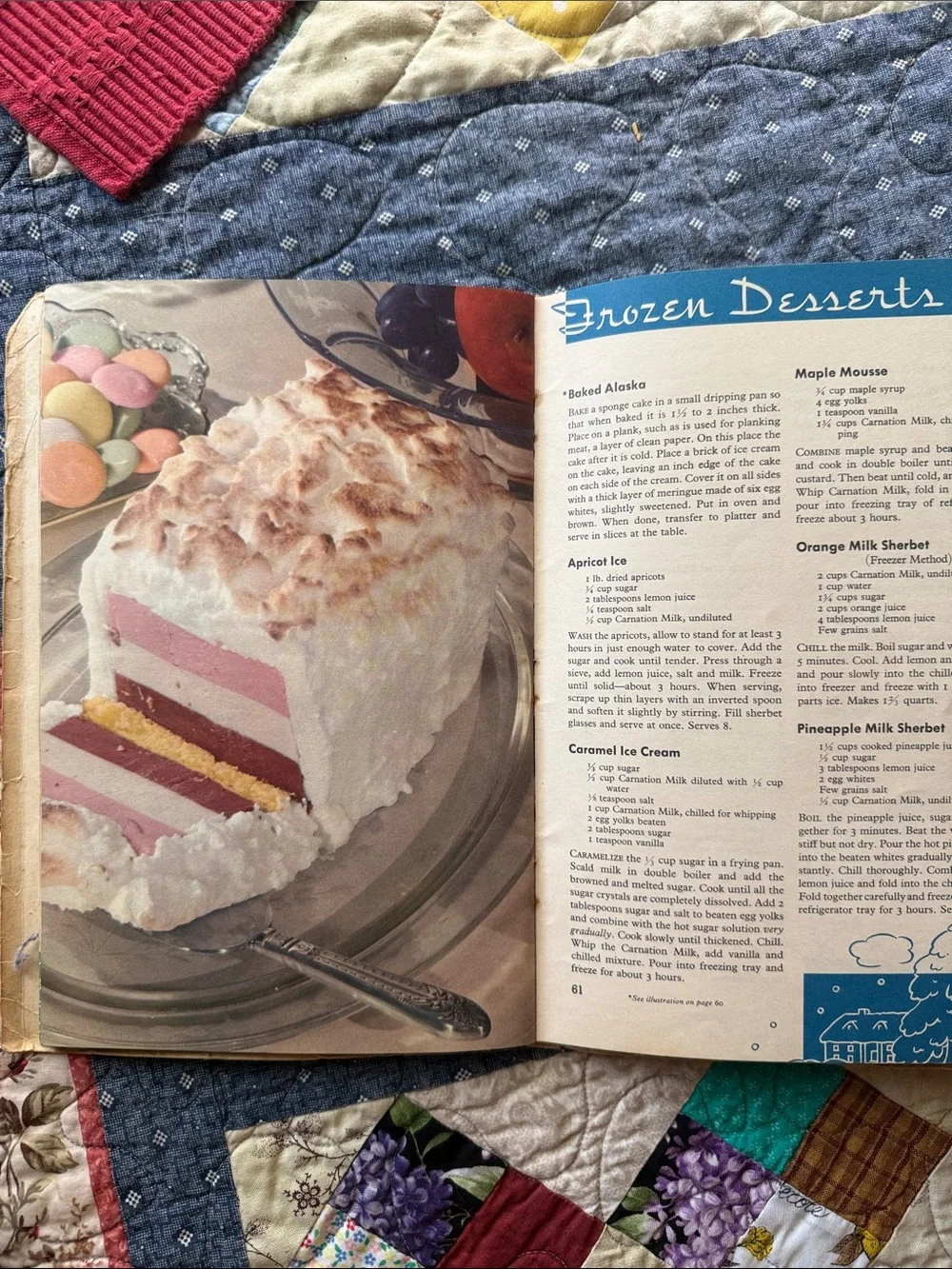 Vintage 1938 Carnation Cook Book Mary Blake 3rd Edition Illustrated Recipes